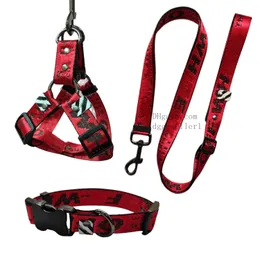 مصمم الكلب تسخير ومجموعة المقود - Escape Proof/Quick Fit Dog Halter Harness ، سهل للتدريب على المشي - مشبك قوي على شكل عظام - جرو تسخير للكلاب الصغيرة Red S B118