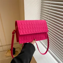 Abendtaschen 2023 Umhängetasche für Frauen Filz Sommer Textur Eine Schulter Achseltasche Handtasche 231208