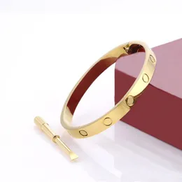 Armband Schmuck Gold Armbänder Titanstahl Silber für Damen Herren Partygeschenk 15-22 cm Pfoaw