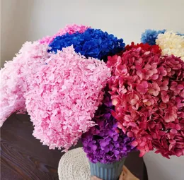 1BUNCH40x20CM30Colors Anna Hydrangea hela grenen bevarad torkad blommor Bukett Pograf Ny Hem Hem Desktop Garden Decoration 22136528