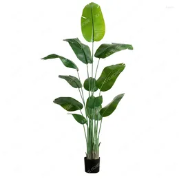 Декоративные цветы, имитация зеленого растения, искусственное украшение, комнатная райская птица, искусственное/поддельное цветочное дерево