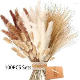 Dekorativa blommor 100st Pampas Grass Fluffy Bouquet Boho Home Decor Natural Dried Tails For Wedding Flower Arrangement