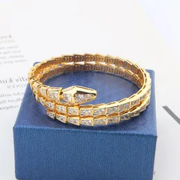 18k Gold Plated Snake Bangle Armband For Women Men Charm Infinity Diamond Tennis Cuff Armband Luxury Designer Jewelry Fashion Party Mkeo