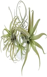 4Pack Artificial Pineapple Grass Air Plants Fake Flowers Faux Flocking Tillandsia Bromeliads Home Garden Decor8563311