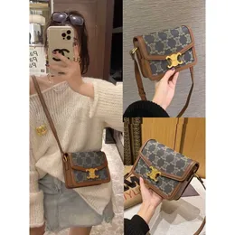 Copia legale Deisgner Celinsss Borse online Shop online Autunno avanzato e inverno Arco trionfale Tofu Small Square Square 2023 New Womens Single Spalla Crossbody Light Luxury