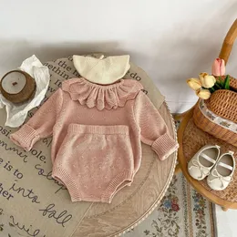 Kleidung Sets 7810 Baby Set Gestrickte Pullover Anzug Herbst Winter Lotus Blatt Kragen Mädchen PulloverHose Zwei Stück 231207