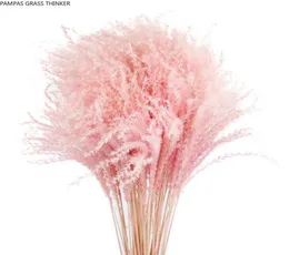 Pensatore di erba di pampa Colorato naturale rosa chiaro Matrimonio Pampa Fiori Regalo di San Valentino Mazzi di fiori di canna essiccati naturali Whi8955717