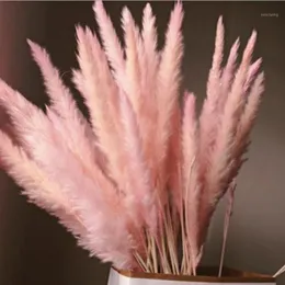 10 шт., натуральная сушеная маленькая пампасная трава Phragmites Communis, свадебный букет цветов высотой от 40 до 68 см для домашнего декора12121