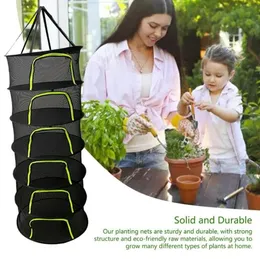 Kleiderbügel Racks Schichten Trocknen Net Hängen Faltbare Reißverschluss Für Pflanzen Früchte Falten Stoff Netze Tasche Mesh Blumen Organizer5519115