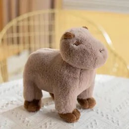 Pluszowe lalki 20 cm Piękna symulacja Capybara Doll Kawaii Pchana miękkie puszyste zwierzęta zabawki dla dzieci chłopców prezent urodzinowy 231211