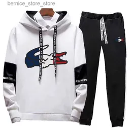 Men's Tracksuits Autumn Brand designer Tracksuit Hooded Pullover and Jogger Pants Classic Men Women hoodie Daily Casual Sports Hoodie Jogging Suit Q231211