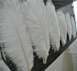 Whole 50pcs White Ostrich Feather Plumes for Wedding Centerpiece Wedding Party Decor Partyイベント装飾供給8777222