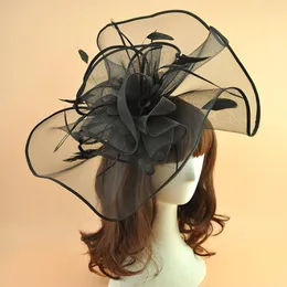 2018 New White Black Plain Feather Facinator Hair Clip Vintage Women Wedding Bride Hats Hairpin Banquet Dinner Ladies Mesh Headdre1539548