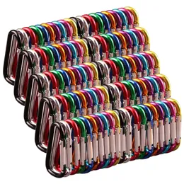 Cordões Slings e Webbing 100PCS / Lot Colorido Liga de Alumínio Escalada Fivela Chaveiro Mosquetão Gancho de Segurança Ao Ar Livre Acampamento Caminhadas Ferramentas Aleatórias 231211