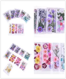 Múltiples hermosas flores secas prensadas reales para arte artesanal, álbum de recortes, joyería de resina, fabricación artesanal, funda para teléfono 7434041