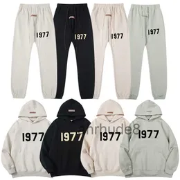 8 Renk Hoodies En Kalite Fog Essentials 1977 Hoodie Mens Sweatshirt kadın kazakları Hip Hop Terzini Büyük boyutlu Jumper Sıcak Hoody Highend Ladys S-XL DQGC