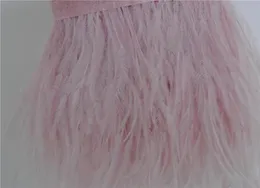 10 yards light pink ostrich feather trimming fringe feather trim on Satin Header 56inch in width for dress decor4800060