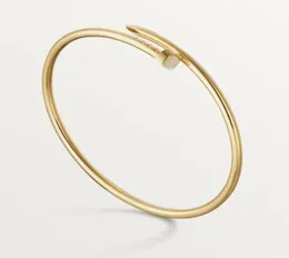 Pulsera de cadena de oro Pulsera de diseñador Joyería de lujo Accesorios para mujer Acero de titanio Aleación Proceso de chapado en oro nunca se desvanece fot a3257087