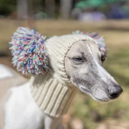 Weiteres Hundezubehör: Mütze für italienischen Windhund und Whippet mit Fellknäuel, Haustier im Winter, elastische Wolle, Welpe, großer Hund 231211