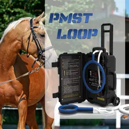 6000GS Animals Physical Treatments Horse Veterinary Equipment pemf Loop Magnetic Therapy For Pain Relief And Bones Repair Make Horses Stay in Health