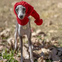 帽子 Whippet ポイント8倍】 アメリカ STETSON(ステットソン) ファーフエルト