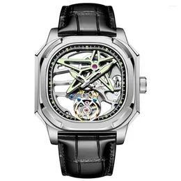 Zegarek zegarki Aesop szkielet naturalny diament Tourbillon Mechaniczne męskie zegarki Sapphire Luminous Ruch Watch for Men Waterproof