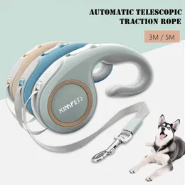 犬の襟の鎖5m格納式犬リーシュ耐久性ナイロンペットウォーキングリーシュ自動拡張犬のリードロープの小さな中程度のペット231212