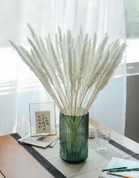 Flores decorativas grinaldas 30 pçs branco rosa real pampas grama buquê natural seco decoração de casa acessórios de casamento festa decorat1515347