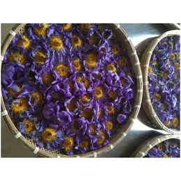 装飾的な花の花輪青いロータス乾燥花全体の花ニンファイアカエレア210317ドロップデリバリーホームガーデンフェスティブパーティー用品DHQ23