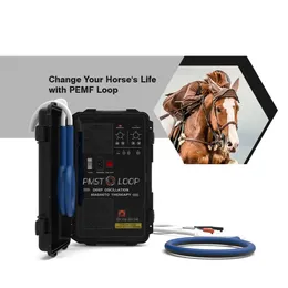 Veterinary Clinic Use High Powered 6000 Gauss Horse Pemf Magnetic Therapy Pain Relief And Bones Rehabilitation Horse Massage PEMF Loop Equipment