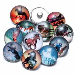 12PCS Lot Horse Temat Glass Defhers 18 mm Snap Button Biżuteria do 18 mm Bransoletka Bransoletka Snap Jewelry KZ06771237K