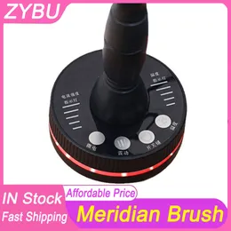 Bärbar hudskrapning Elektrisk meridian EMS Brush Red Light Vibration Micro Current Bio Lifting Infraröd uppvärmning Guasha Hälsovård Fysioterapi Massager