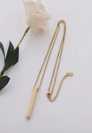 100 Stainless Steel Blank Bar Necklace For Engrave GoldSilver Color Metal Name Plate Necklaces Mirror Polished Whole 10pcs6515603