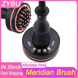 EMS Massager Mikrokrurrent czerwony światło Ogrzewanie podczerwieni Wibracje 4in1 Electric Meridian Brush Home Użycie opieki zdrowotnej szyi gua sha sha cierpi tłuszcz