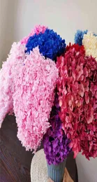 1 mazzo 40x20 cm 30 colori Anna Ortensia Ramo intero conservato Bouquet di fiori secchi Pograph Home Desktop Decorazione del giardino 2110279565483
