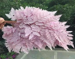 10st Natural Fresh bevarad liten storlek Fiddlehead Ferns Eternal Flower Leaves For Wedding Party Home Decoration Accessories274K5566486