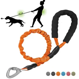 Trening psów posłuszeństwa smyczy refleksyjna elastyczna nylonowa lina z wyściełanym rączką bezpieczeństwa wiązki obrońcy przewinnia na małe średnie duże 231212
