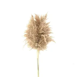10 pezzi Decorazioni natalizie Flower Bunch Natural Sessied Pampas Grass Colore crudo Phragmites Communisg T19102428398037790