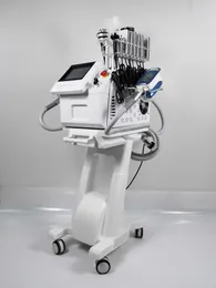 3 Cryo Heard ile 360 ​​Derece Dondurulmuş Lipoliz Zayıflama Makinesi Criyolipoliz Makinesi Taşınabilir