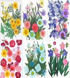 1 conjunto de 22 peças de flores secas misturadas prensadas, folhas, plantas, herbário para joias, cartão postal, moldura po, capa de telefone, fabricação diy9579111