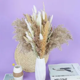 Dried Flowers Natural Fluffy Dry Flowers Real Reed Grass Natural Dried Pampas Grass Decor Wedding Flower DIY Bohemian For Home Dekoration R231214