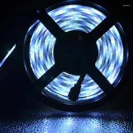 Noel Süslemeleri 12V RGB LED 2835 Yalnızca Işık 5m 10m Set Dekorasyon Lambası Şerit Dize Su Geçirmez Dekor Diyot