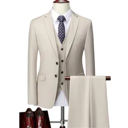 Mens Suits Blazers Men Boutique Set Groom Wedding Dress Pure Color Formal Wear Business 3 P JacketSpantsVest Size S5XL 231214