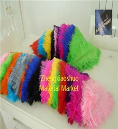 HELA 100PCSLOT 1416 Ing White Black Red ljusrosa rosa Royal Blue Turquoise Orange Purple Ostrich Feather Wedding Cent6654173