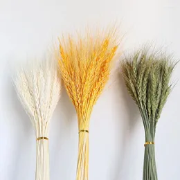 Decorative Flowers 50PCS Natural Dried Wheat Ears Wedding Party Decoration Bouquet Gift Home Decor Pampas Opening Barley DIY Craft