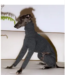 Dog Apparel Italian Greyhound Winter Basement Solid Color Warm Four legged Whippet Turtle Collar Soft Clothes grey 231213