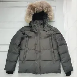 Tasarımcı Erkekler Down Parkas Thich Kanada Kış Sıcak Kapüşonlu Takım Palto Kürk Moda Parka Zipper Ceket S-2XL O5CD#