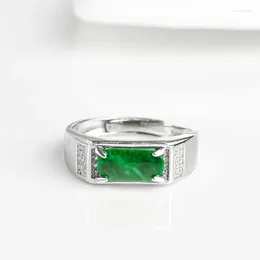 Cluster ringen Birmese Jade ontwerper Emerald Charms 925 zilveren cadeau vrouwen verstelbare charme gesneden natuurlijke Jadeïet sieraden groene mode