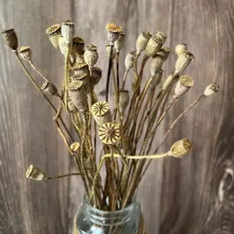 Decorative Flowers Wreaths 0.5-1.2CM Head/50Flowers Heads Real Dried Natural Flowers Small Poppy Fruit Branch Eternal Dry Poppies Fruits Flower Home Decor 231214