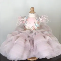 Robes de fille robe de bébé princesse dentelle Tulle Tutu robe formelle fête d'anniversaire année Pographie